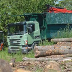 LKW Kaminholz Brennholz Lieferung